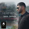 About Mere Apne Song