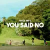 About You Said No Song