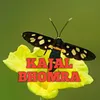 About KAJAL BHOMRA Song