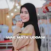 About Wae Mata Uddani Song