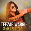 About Teezab Wargi Song