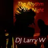 About The Rhythm of the Night Song