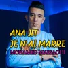 About ANA JIT JE N'AI MARRE Song
