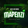 Mapenzi