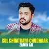 About Gul Chhatrayo Chodhaar Song