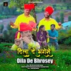 About Dila De Bhrosey Song