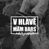 About V Hlavě Mám Bars Song