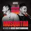 About Mosquitim Song