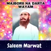 About Majborii Na Darta Wayam Song