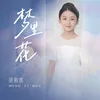 About 梦里花 Song