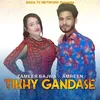 About Tikhy Gandase Song