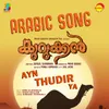 About Ayn Thudir Ya Song