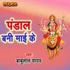 About Pandal Bani Maai Ke Song