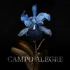 About Campo Alegre Song