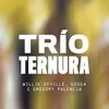 About Trío Ternura Song