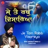 About Je Tain Rabb Visareya Song