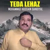 About Teda Lehaz Song