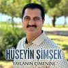 About Yaylanın Çimenine Song