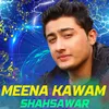 About Meena Kawam Song