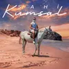 About Kumsal Song