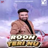 About Rooh Teri Nu Song