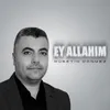 Ey Allahım