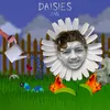 About daisies Song