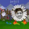 daisies