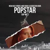About Popstar Song