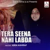 About Tera Seena Nahi Labda Song