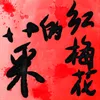 About 红梅花的菜 Song