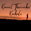 About Kannil Therindha Kadhale Song