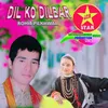 About DILO KO DILBAR Song