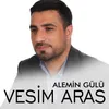 About Alemin Gülü Song