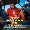 About Tsy vazaha fa teany Song