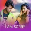 About I Am Sorry Song