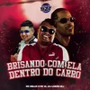 About BRISANDO COM ELA DENTRO DO CARRO Song