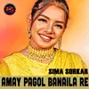 About Amay Pagol Banaila re Song