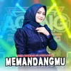 About Memandangmu Song