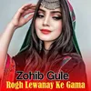 About Rogh Lewanay Ke Gama Song