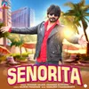 About Senorita Song
