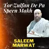 About Tor Zulfan De Pa Speen Makh Song