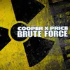 About Brute Force Song