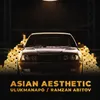 ASIAN AESTHETIC