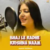 About Bhaj Le Radhe Krishna Naam Song