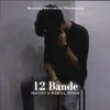 12 Bande