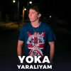 About Yaralıyam Song