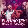 About ELA NÃO TEM MEDO DE PALHAÇO Song