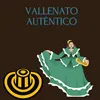 About Vallenato Auténtico Song