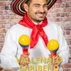 About Vallenato Caribeño Song